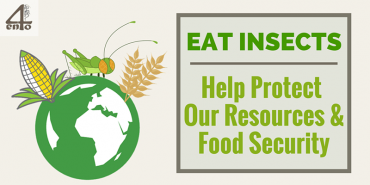 How Insects Can Help Preserve Our Resources & Increase Global Food Security