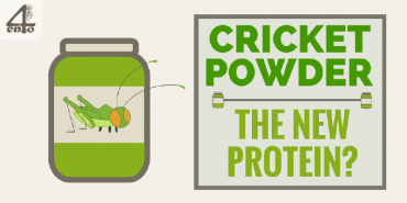 Cricket Flour & Powder – The New Protein Powder?