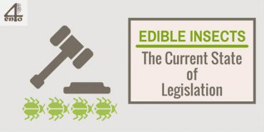 Current State of Legislation For Insects As Food