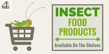 Insect Food Products Currently Available