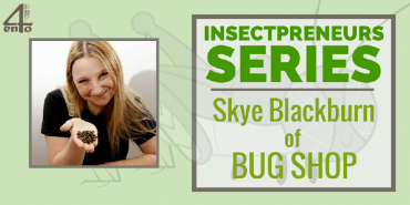 Insectpreneur Series: Interview with Skye Blackburn of Bug Shop